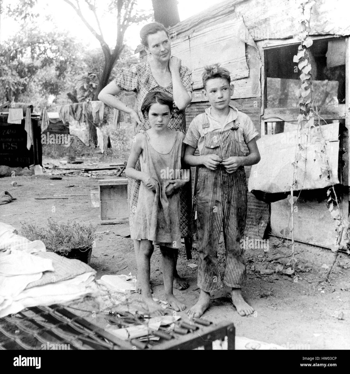 The Conservative Alternative tweet media