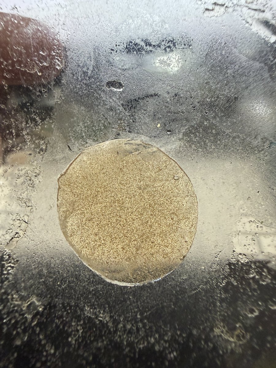 BCbubbleman tweet media