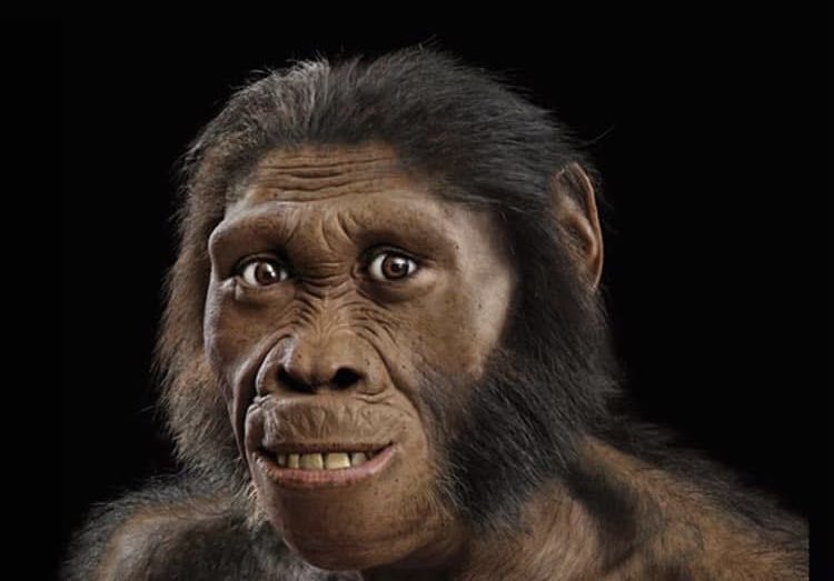 Carlos Ortiz tweet media