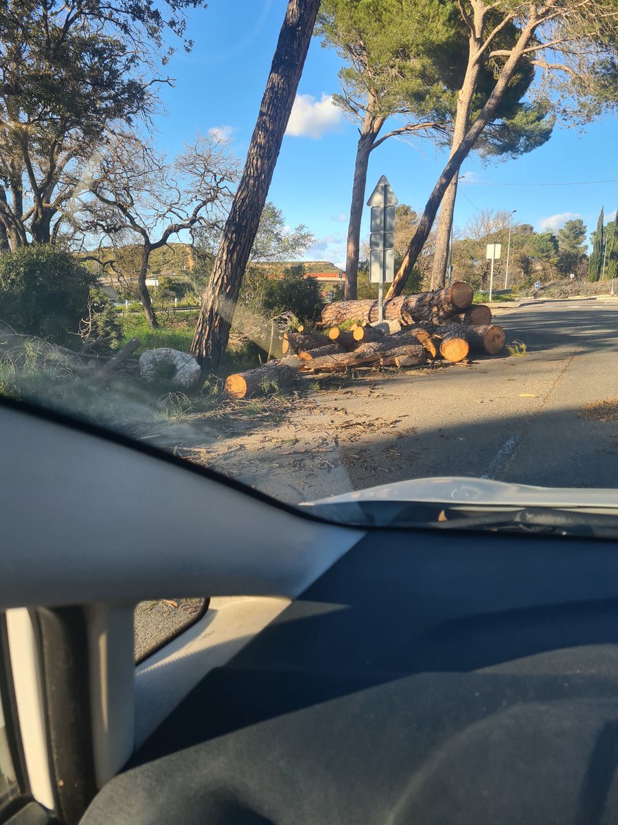 Alexi 🐍 🇺🇦 🇮🇱 tweet media