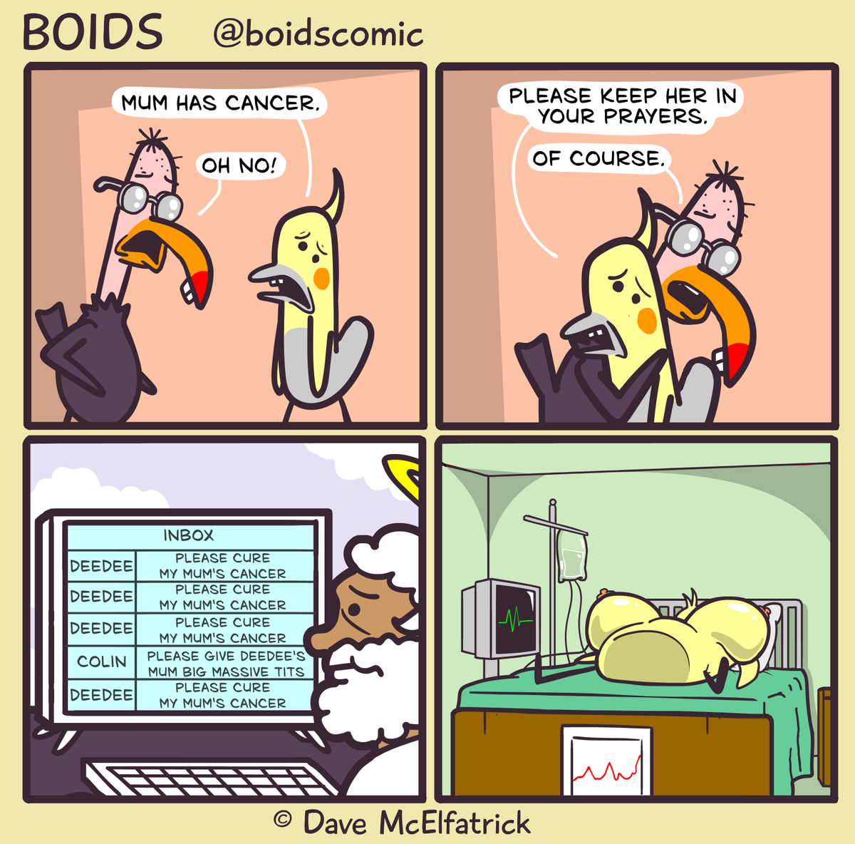 Boids tweet media