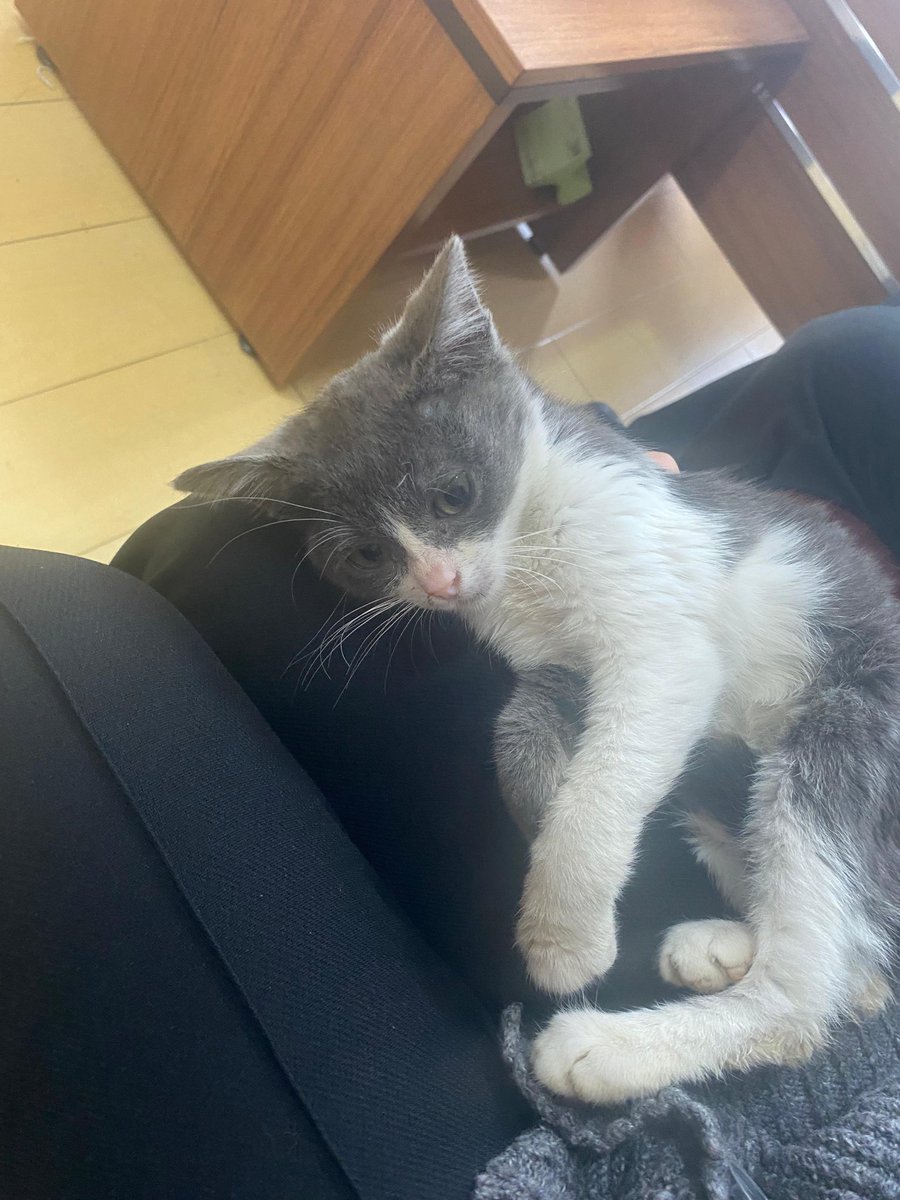 Kimbappe tweet media