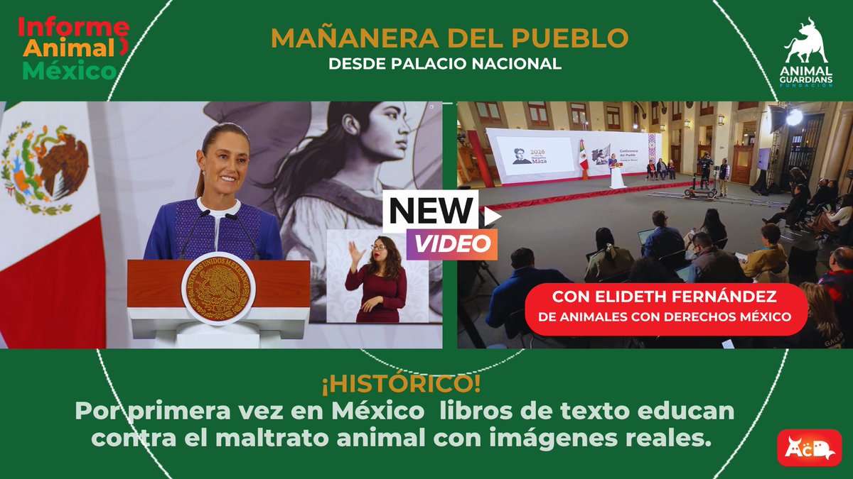 📚 Libros de texto en #México educan contra maltrato animal 🐾 👧👦 Estudiantes aprenderán empatía y respeto hacia los animales. Un paso histórico hacia una educación libre de violencia. 📜⚖️🇲🇽
#Educación #RespetoAnimal
#AnimalesConDerechos 
youtu.be/aw7ssHOGYco?si…