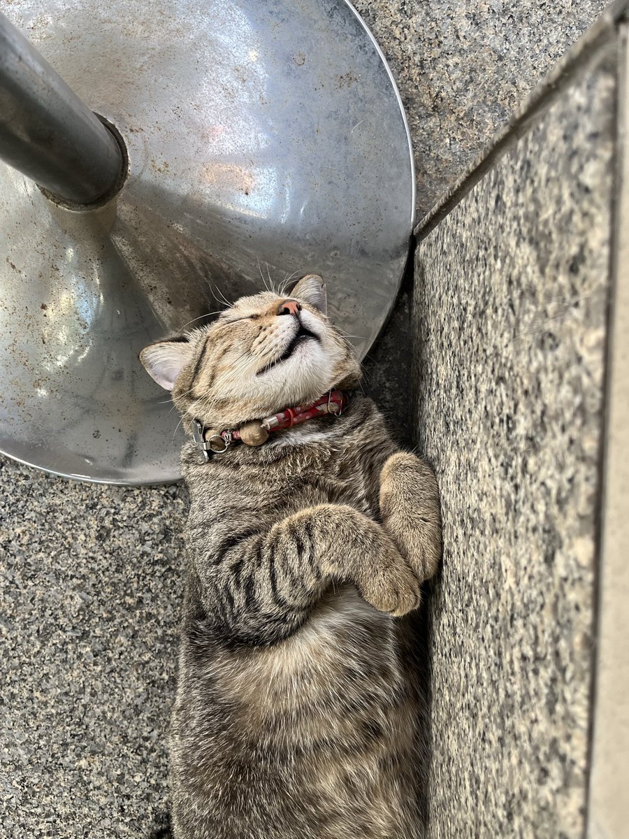 Jm ✨🧚‍♀️❤️ tweet media