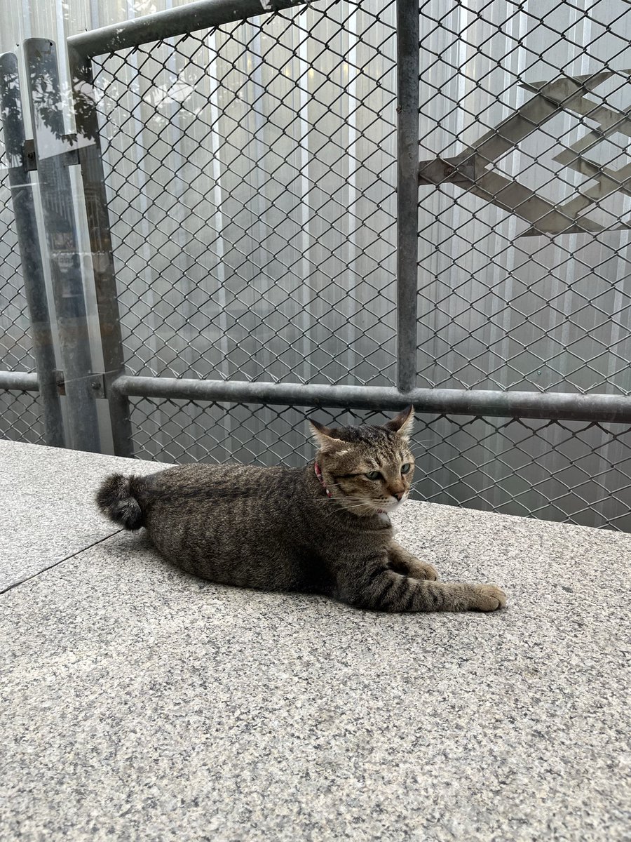 Jm ✨🧚‍♀️❤️ tweet media