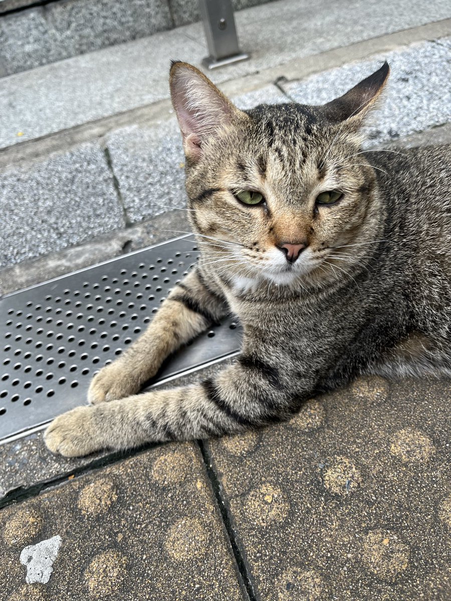 Jm ✨🧚‍♀️❤️ tweet media