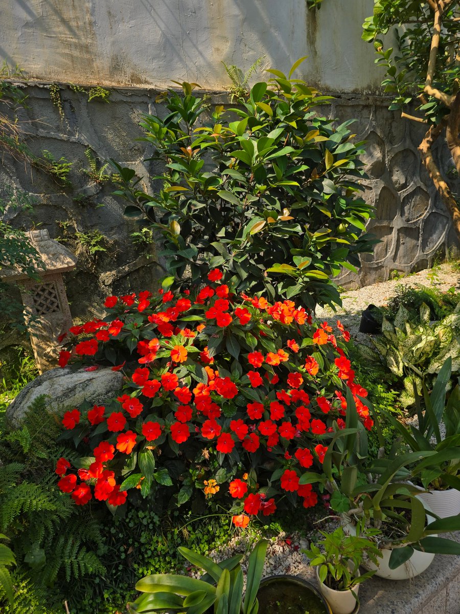 suellencarolina tweet media