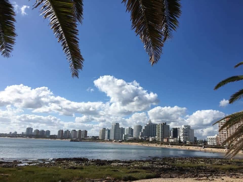 Rayito Suarez tweet media