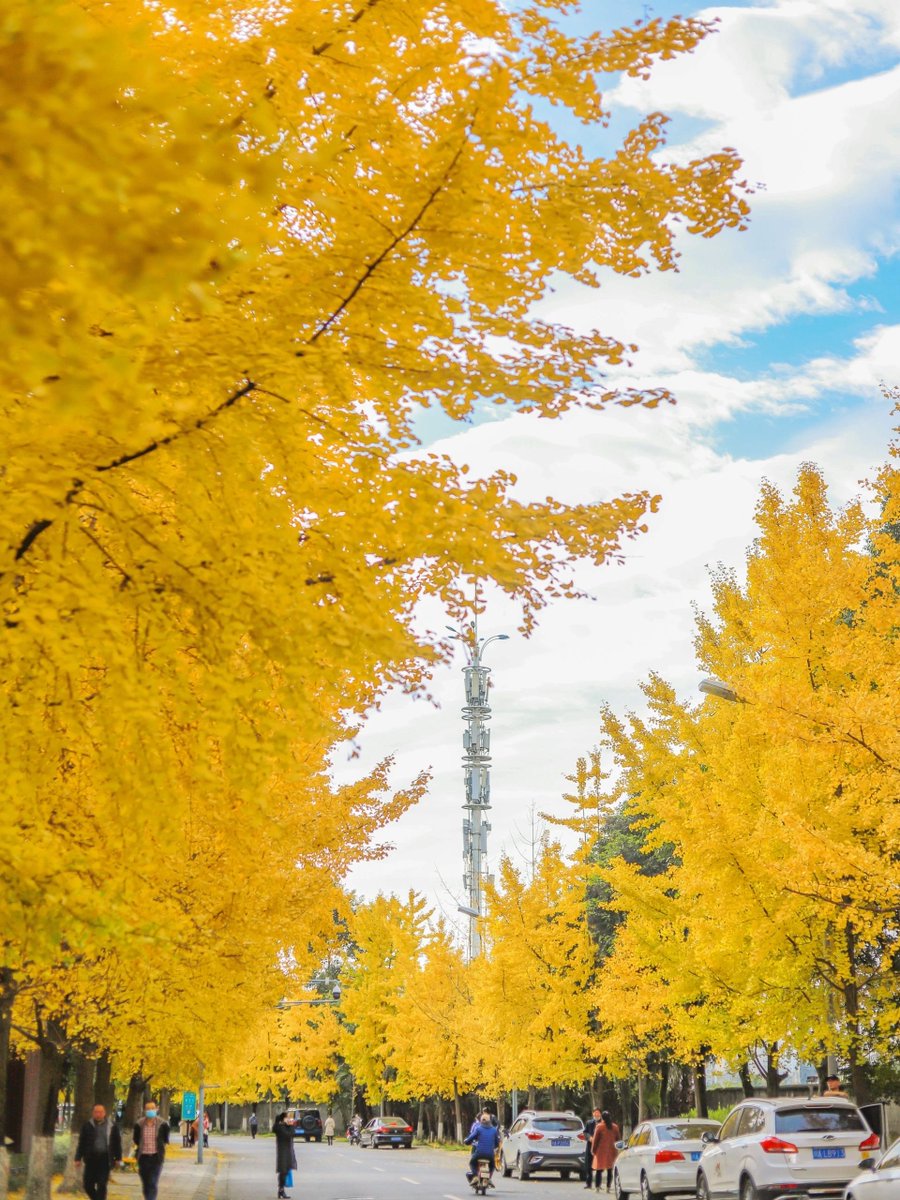 laurendowney tweet media