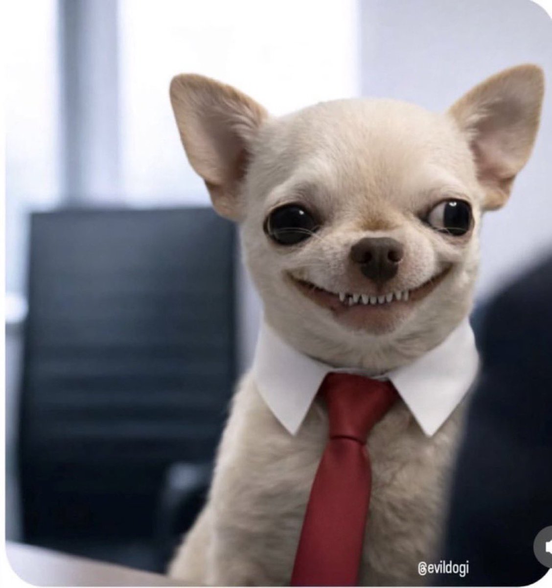 Tajudeen 🔶 tweet media