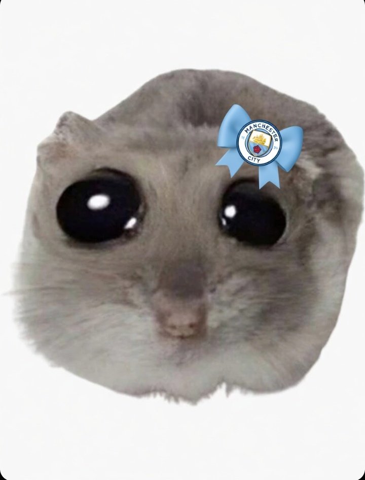 City Dude tweet media