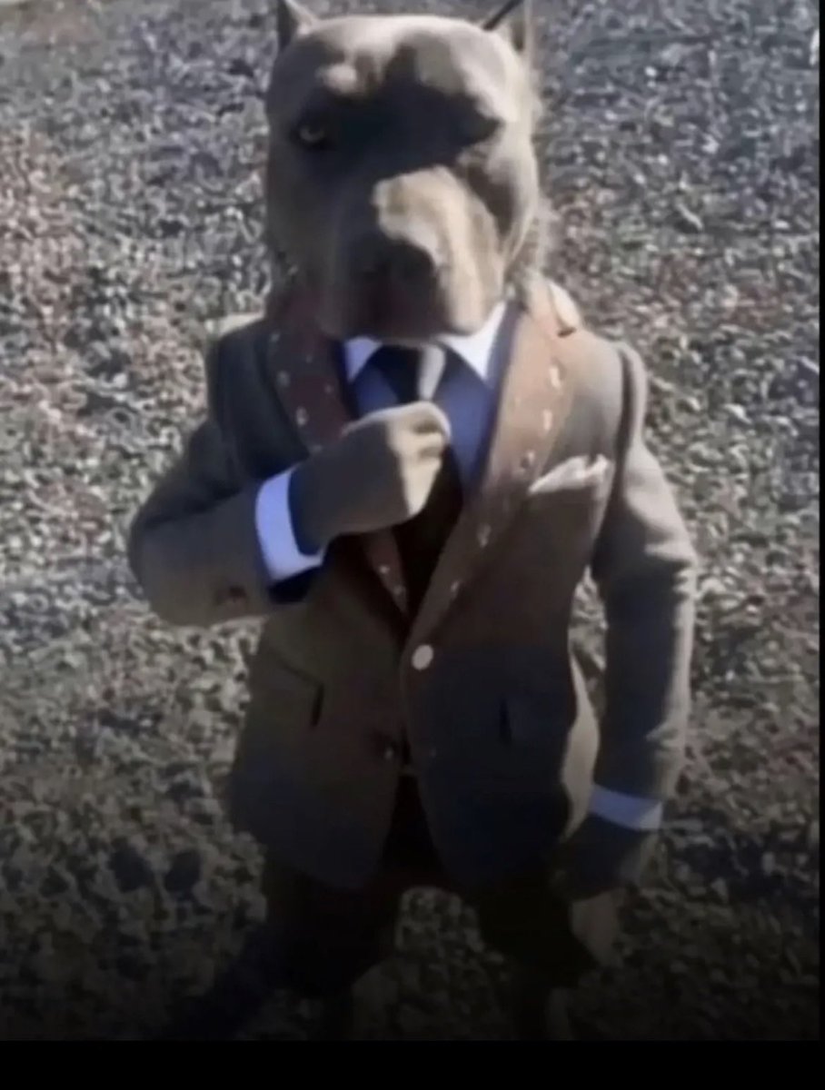 Angelo 💥 tweet media