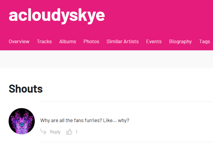 acloudyskye tweet media