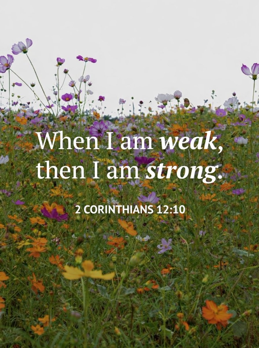 The Bible tweet media