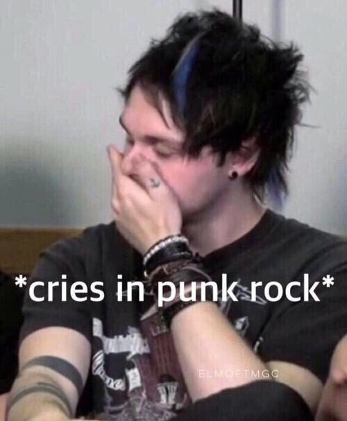 hails⭐️ tweet media