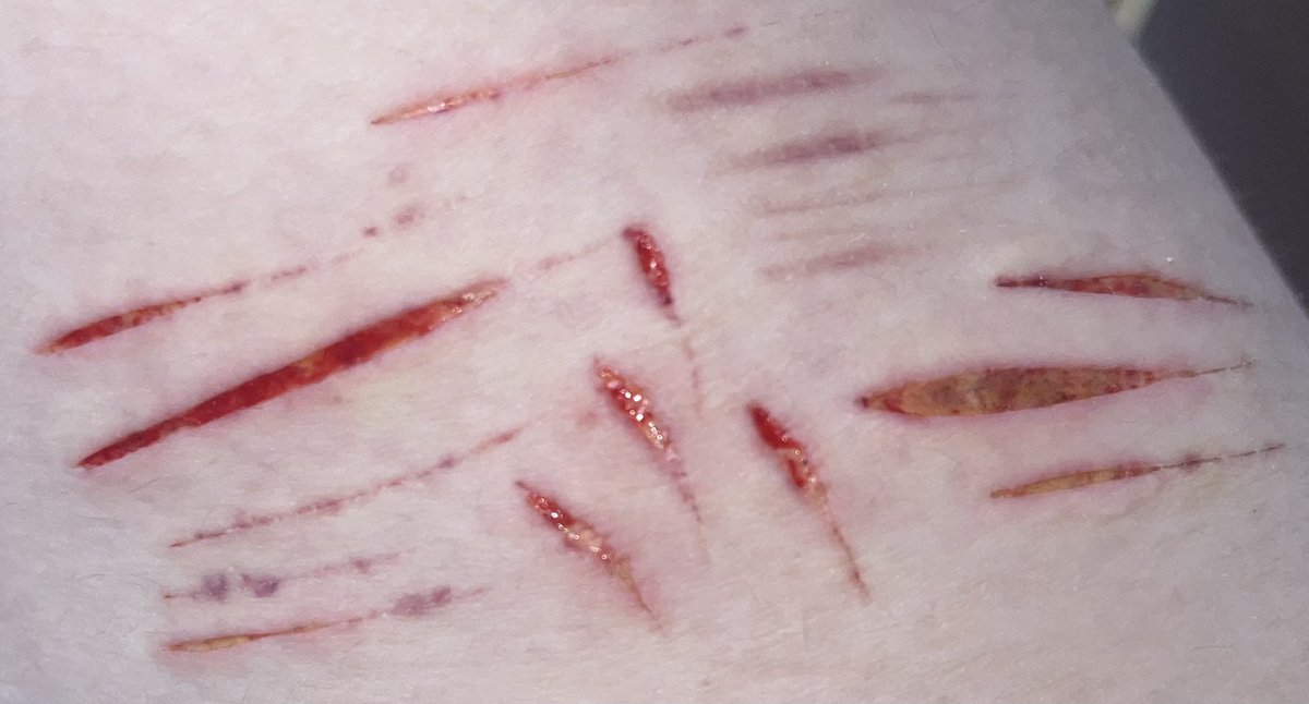 zack⚡️ tweet media