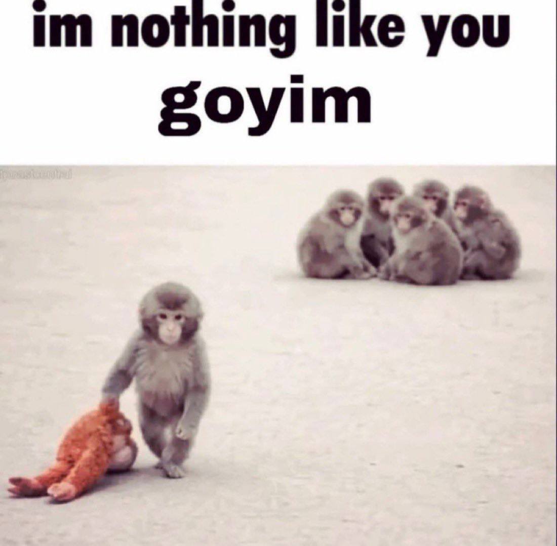 the cumpound tweet media