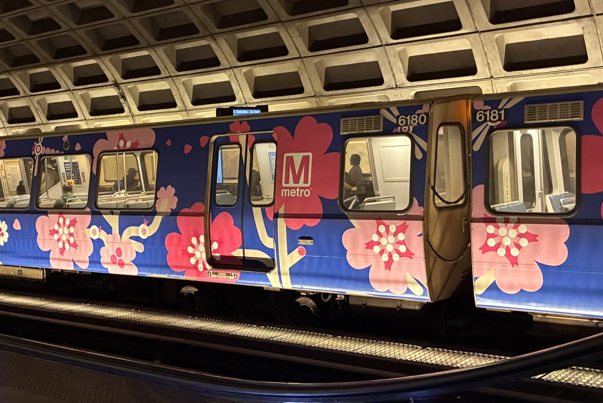 Pherabe Kolb tweet media