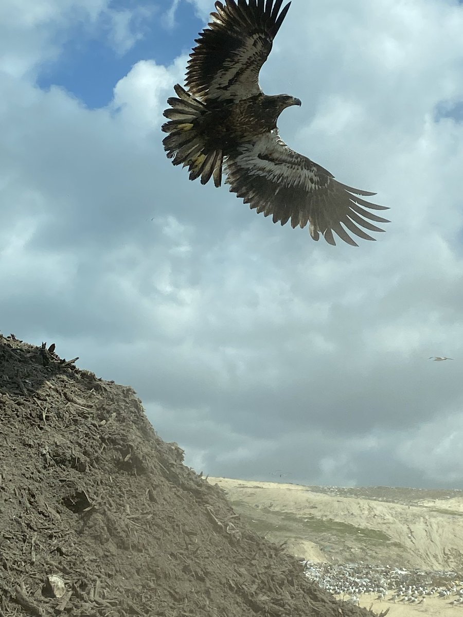 xSinner Smurfx tweet media