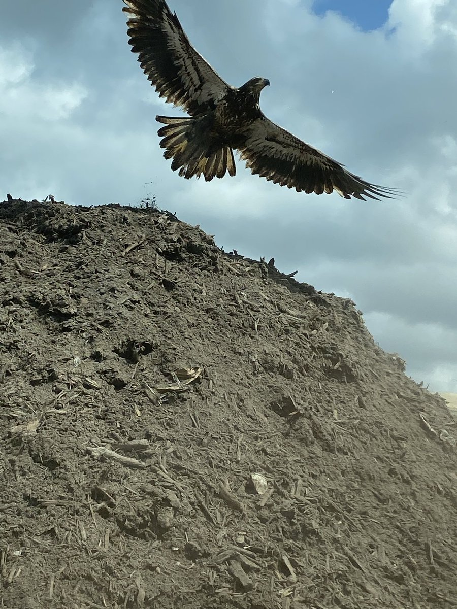 xSinner Smurfx tweet media