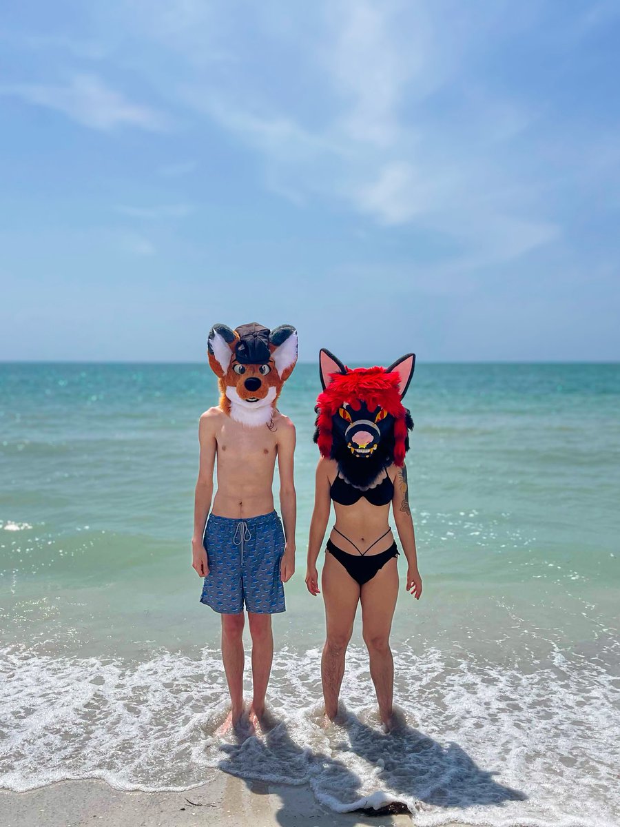 Mel 🦇 🐈‍⬛ tweet media