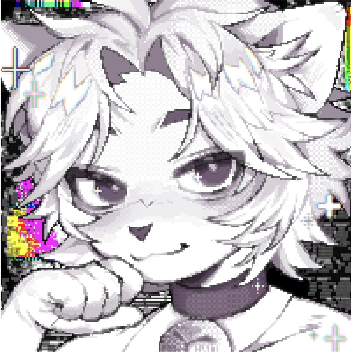 saproena⭐️ tweet media