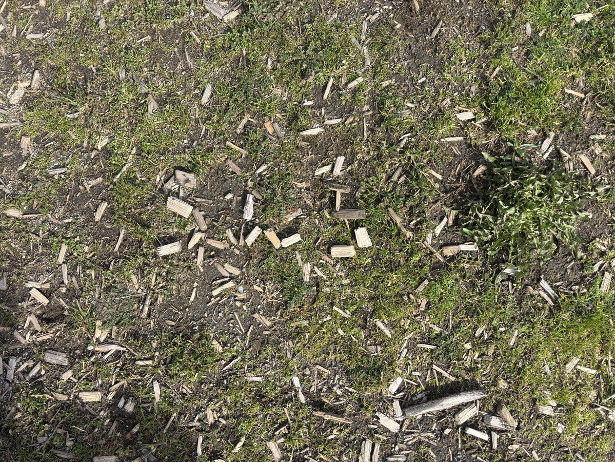 あこ🐢 tweet media