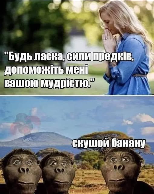 🇺🇦MOLOTOK🇺🇦 tweet media