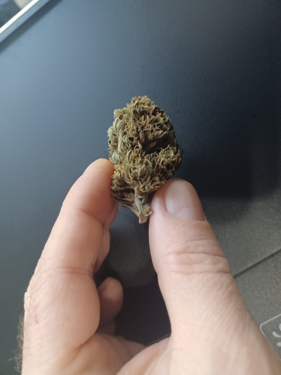 Oʀᴀᴄʟᴇ Sᴇᴇᴅs Oғɪᴄɪᴀʟ® 🇪🇸 tweet media