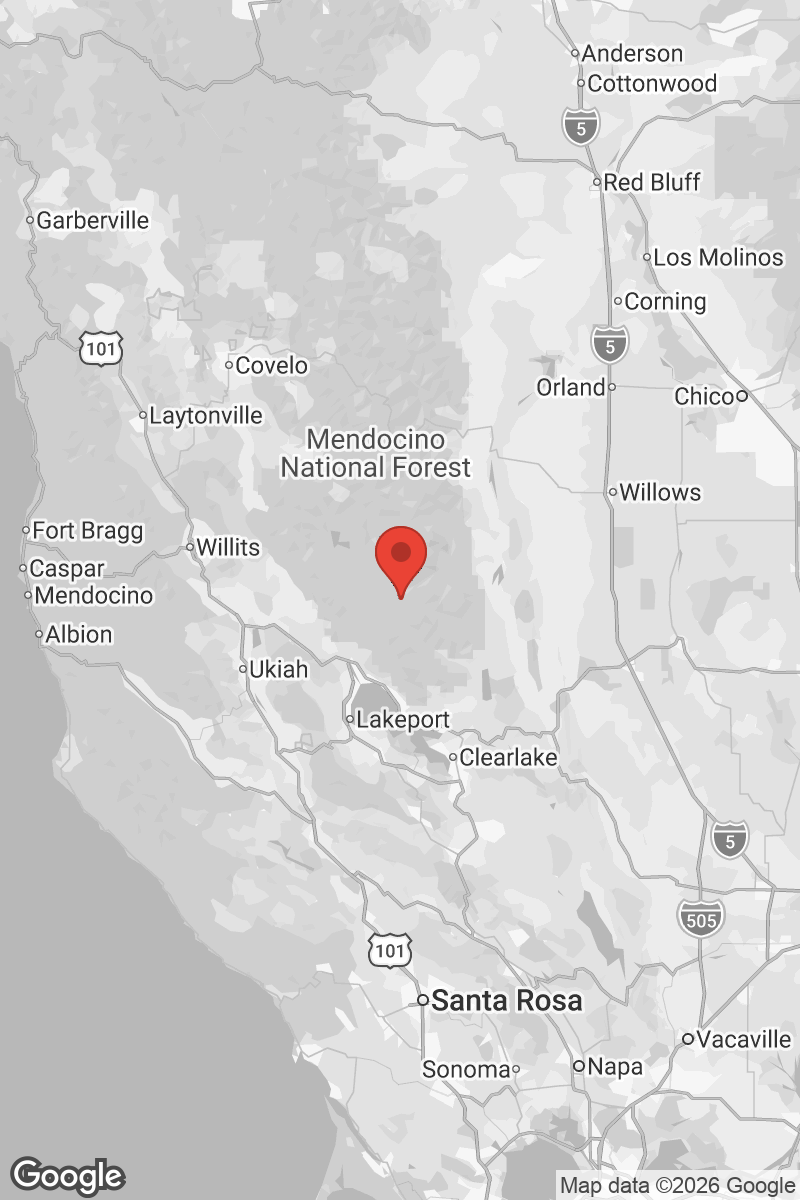 SF Quake Alerts tweet media