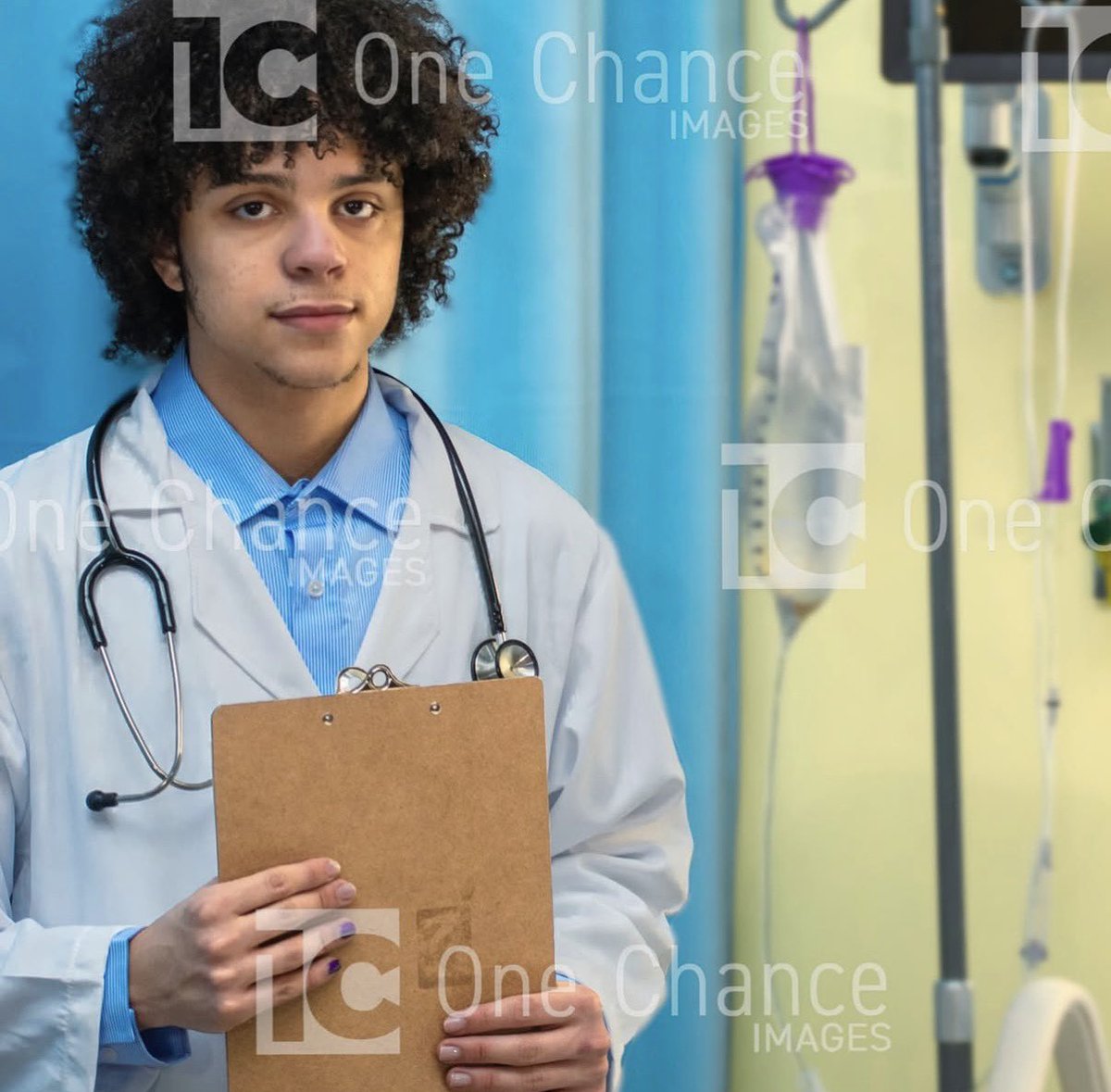 mingo rabbit tweet media