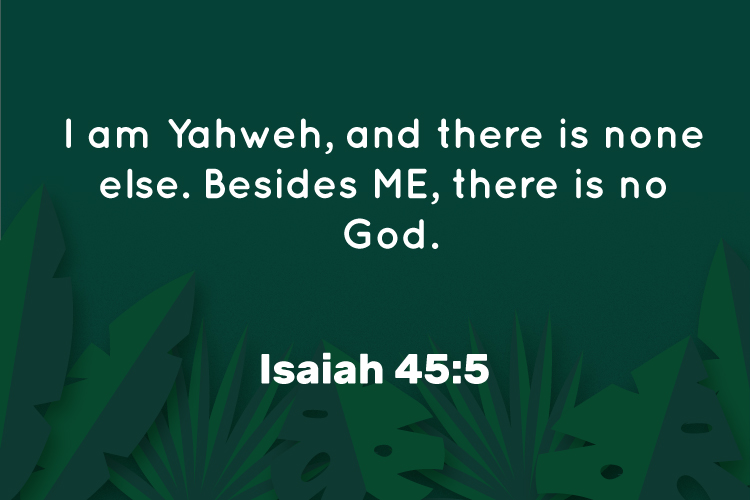 Trinity Lie tweet media