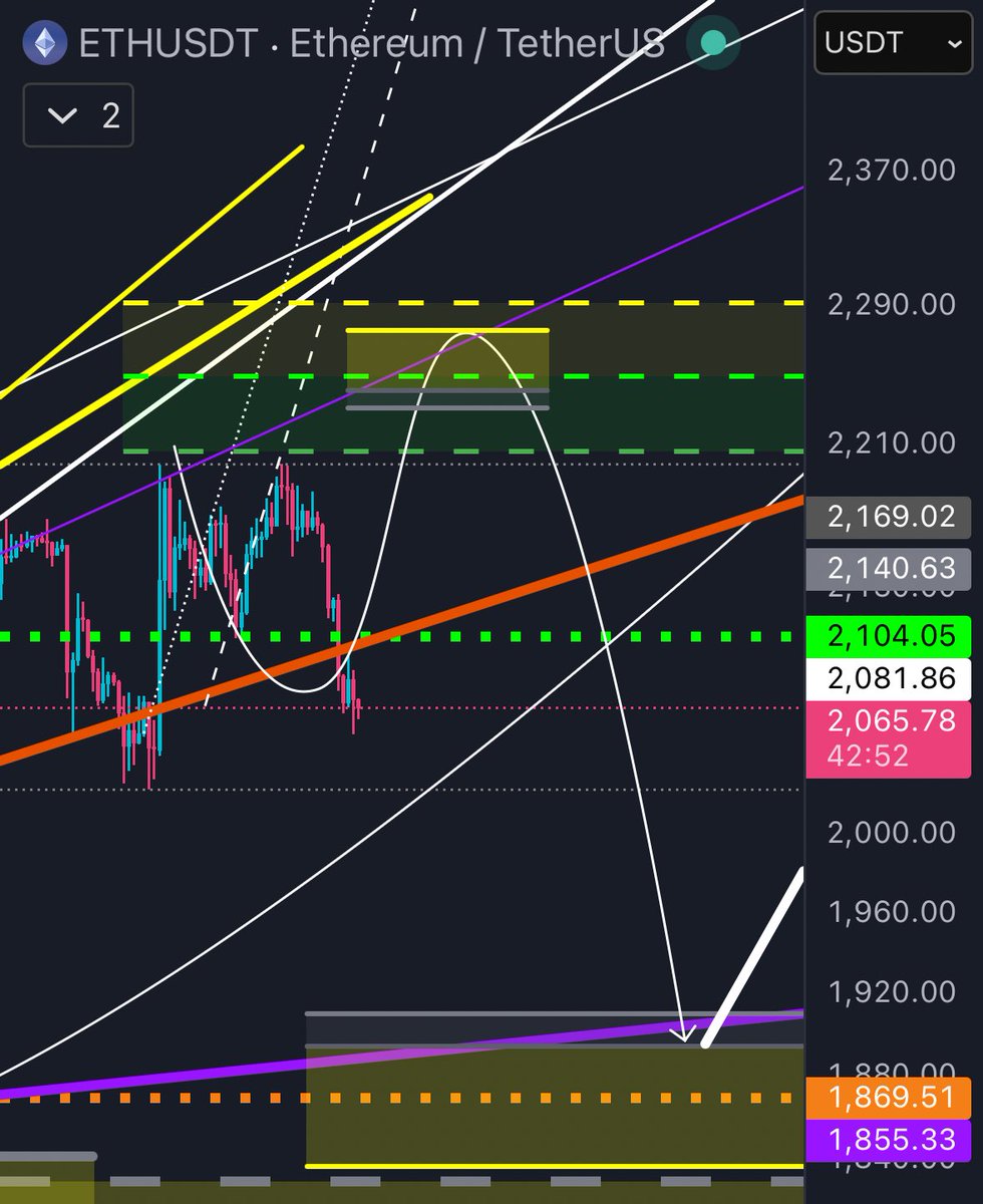 The Biohacker🥛🌞 tweet media