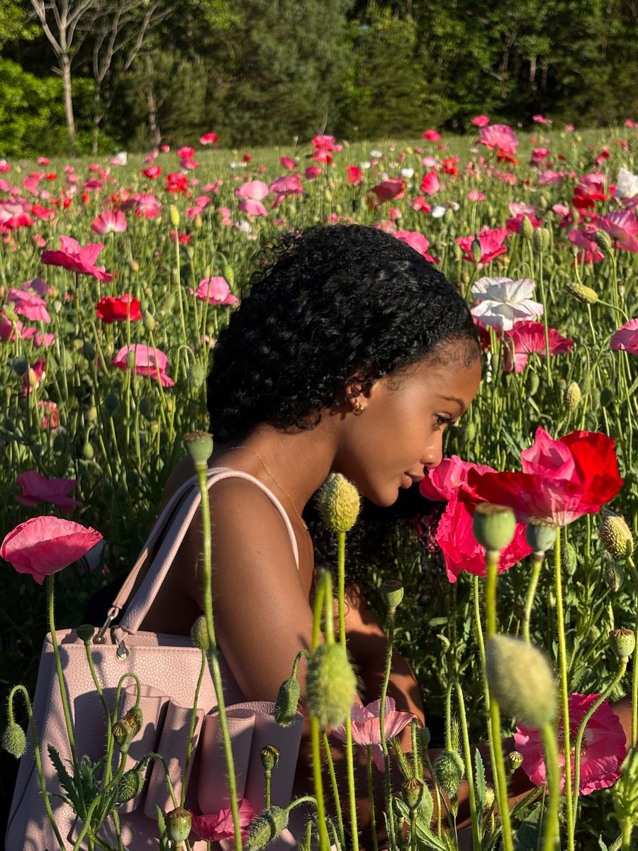 🎀🦢🕯. tweet media