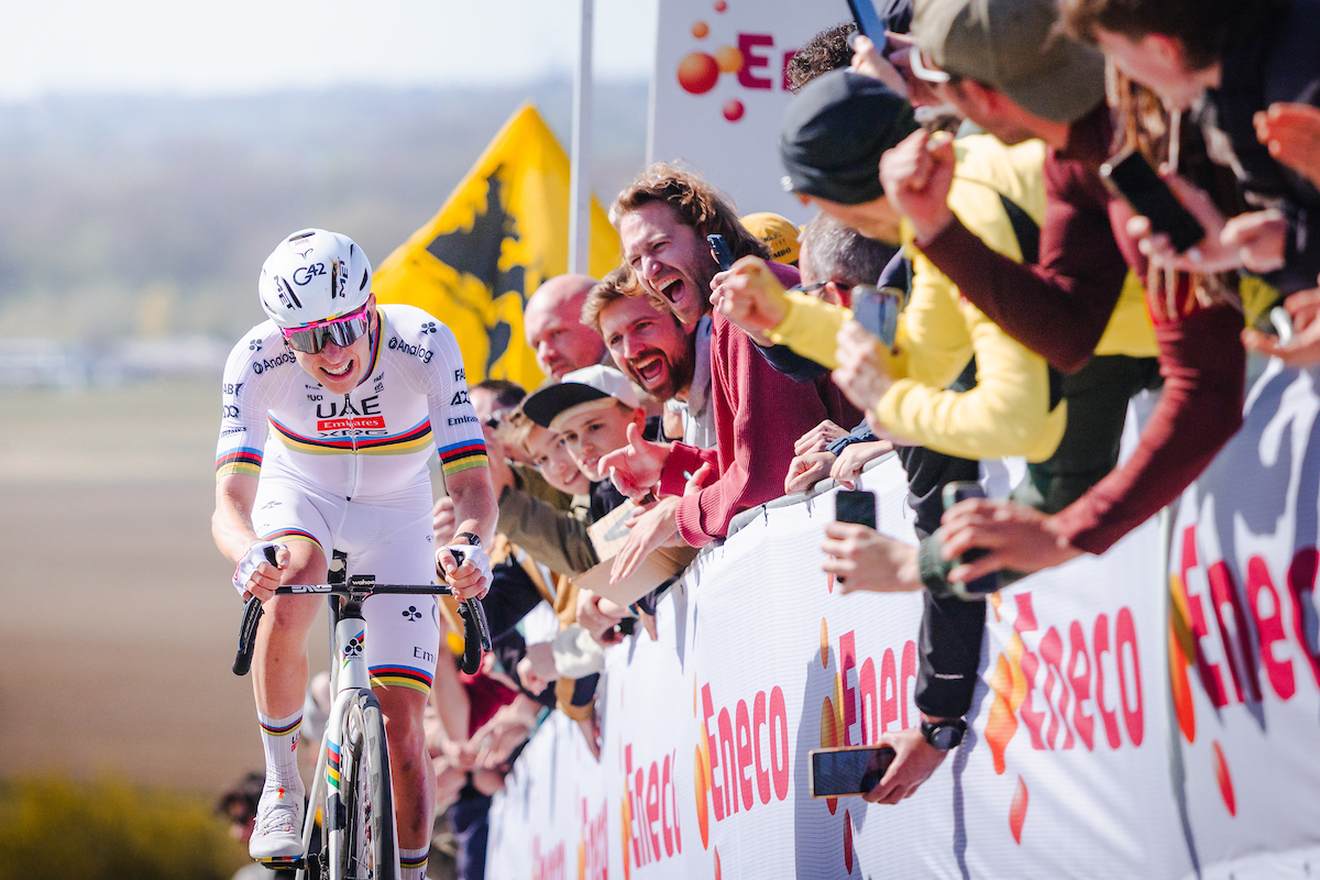 Domestique tweet media