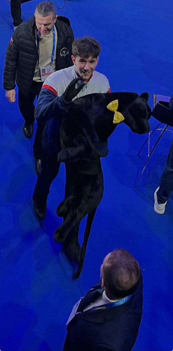 Inside Skating tweet media