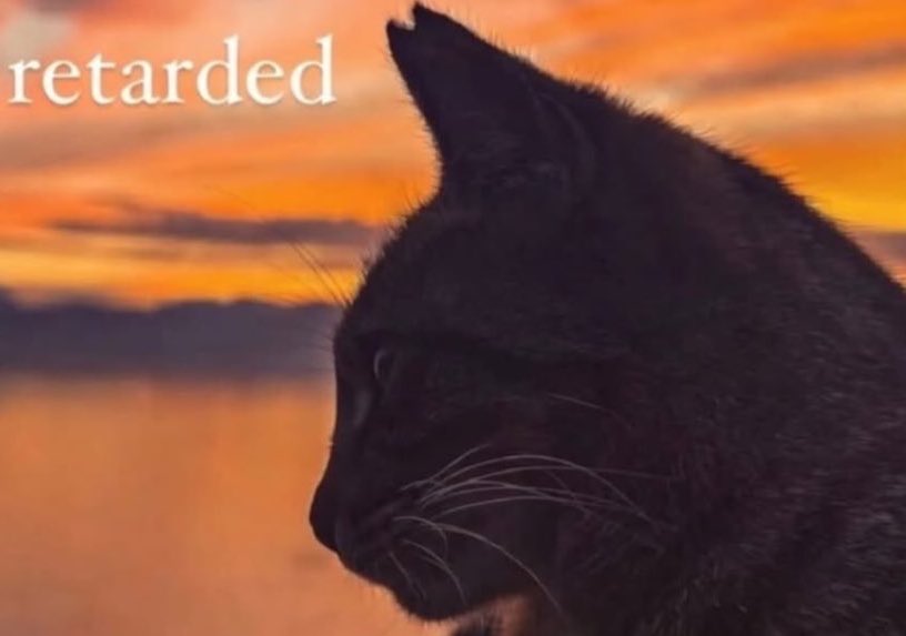 Hinterlander ❤️🔥⚜️ tweet media