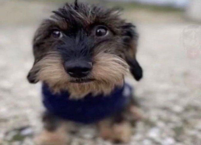 Atabson (Awakening Arc) tweet media