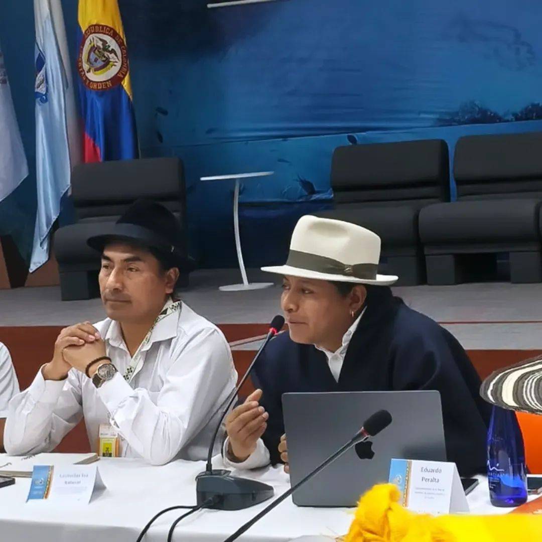 Leonidas Iza Salazar tweet media