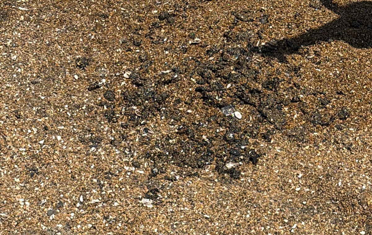 Eduardo3P3 tweet media