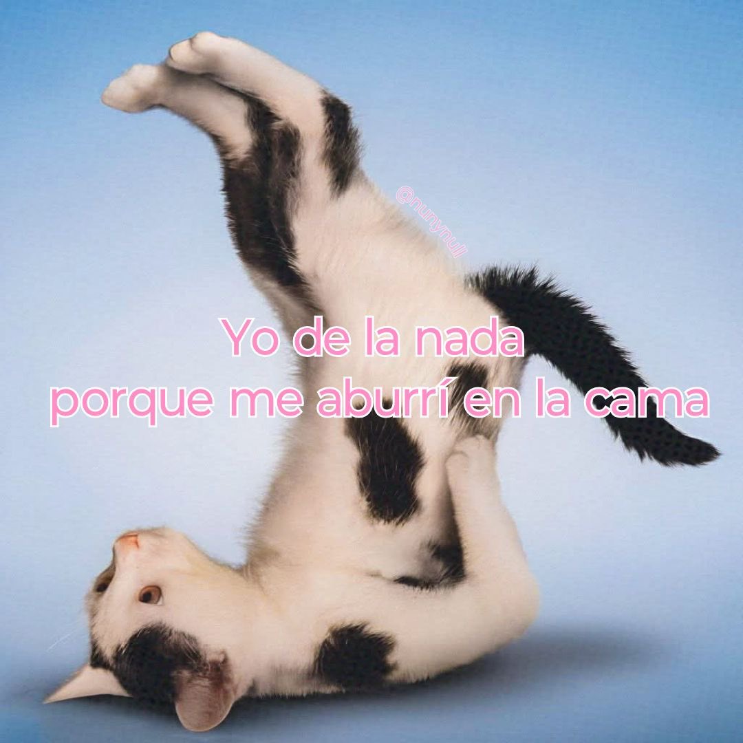 itsD3lay🐧 tweet media