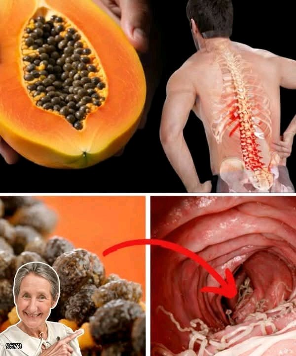 ClipStreamHQ tweet media