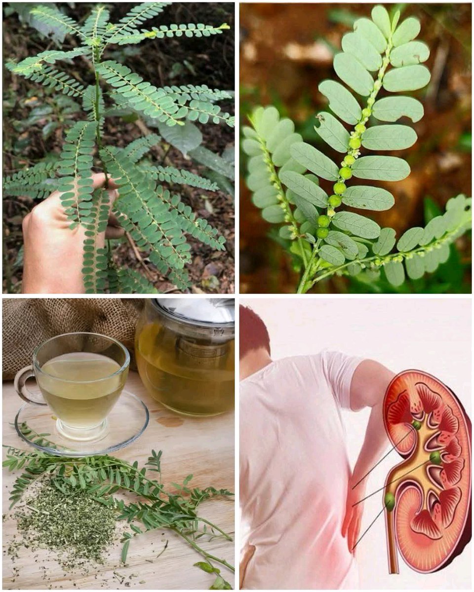 ClipStreamHQ tweet media