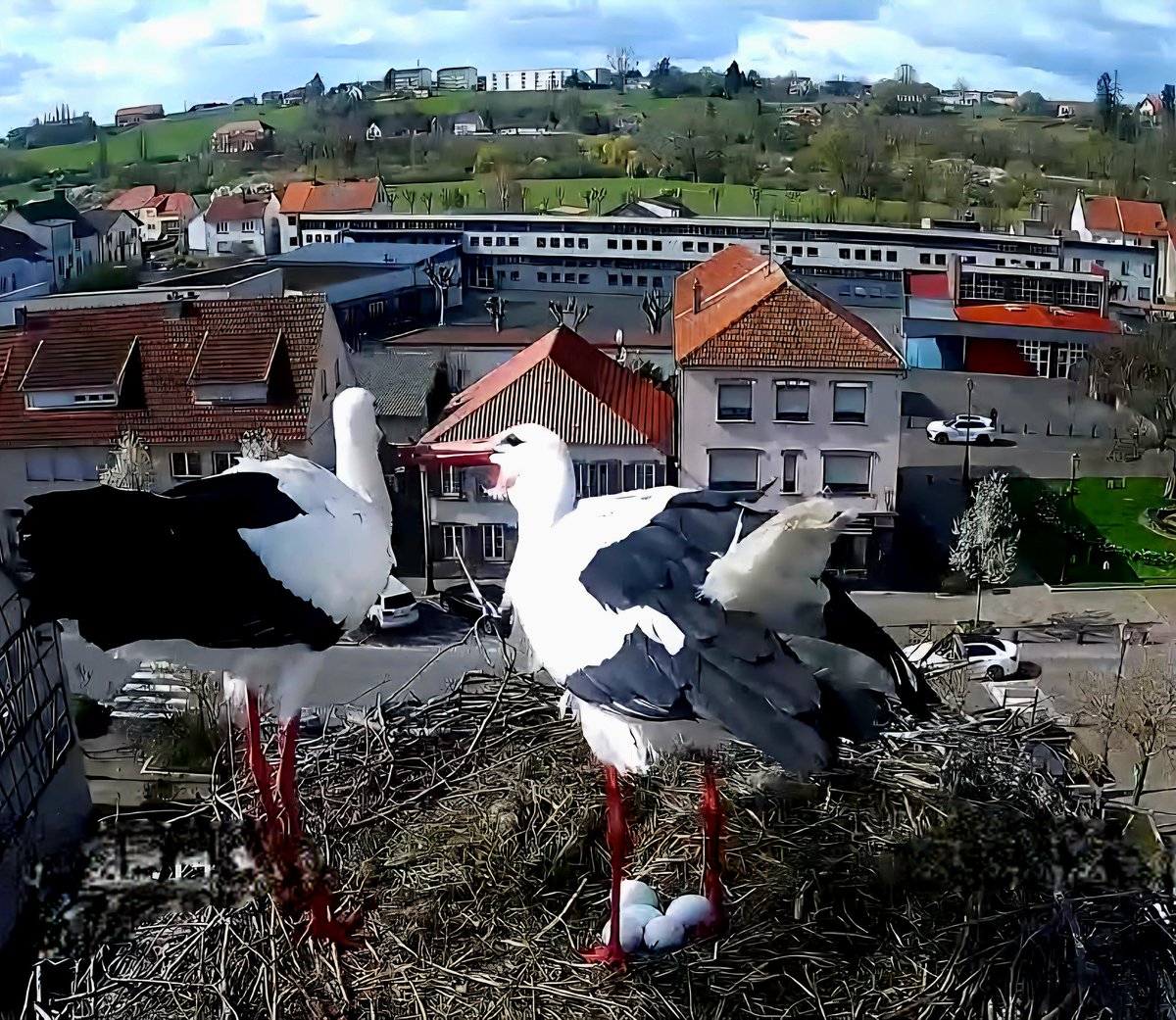 ∴ Pat ∴ tweet media