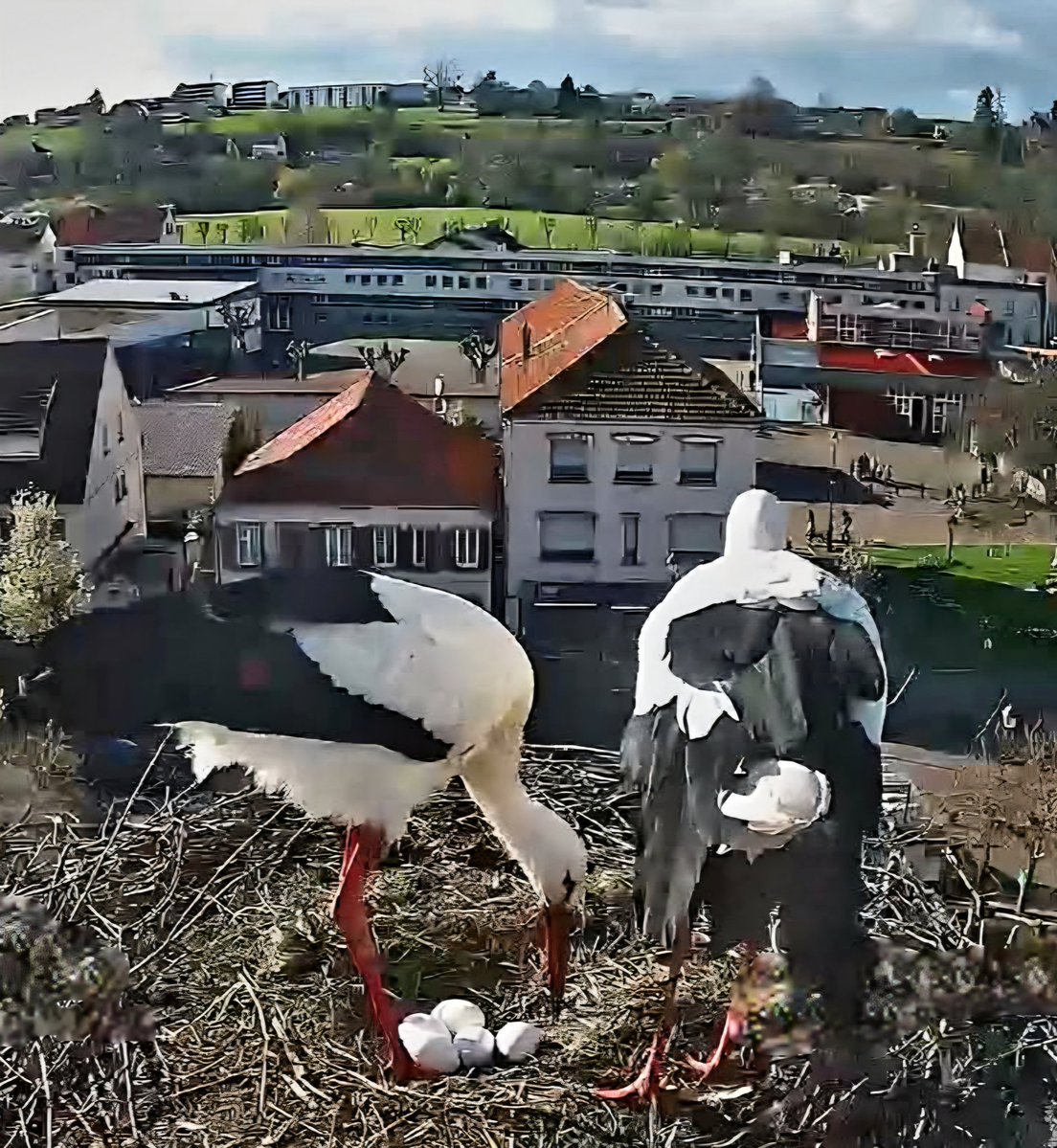 ∴ Pat ∴ tweet media