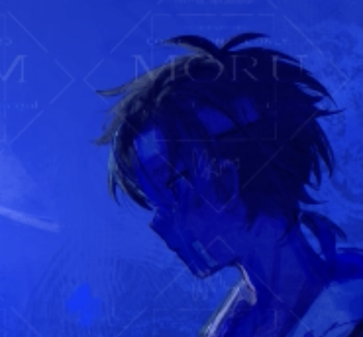 Moru モル tweet media