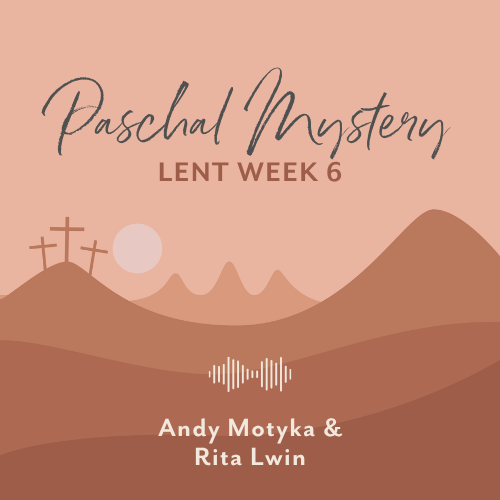 Archdiocese of Indianapolis tweet media