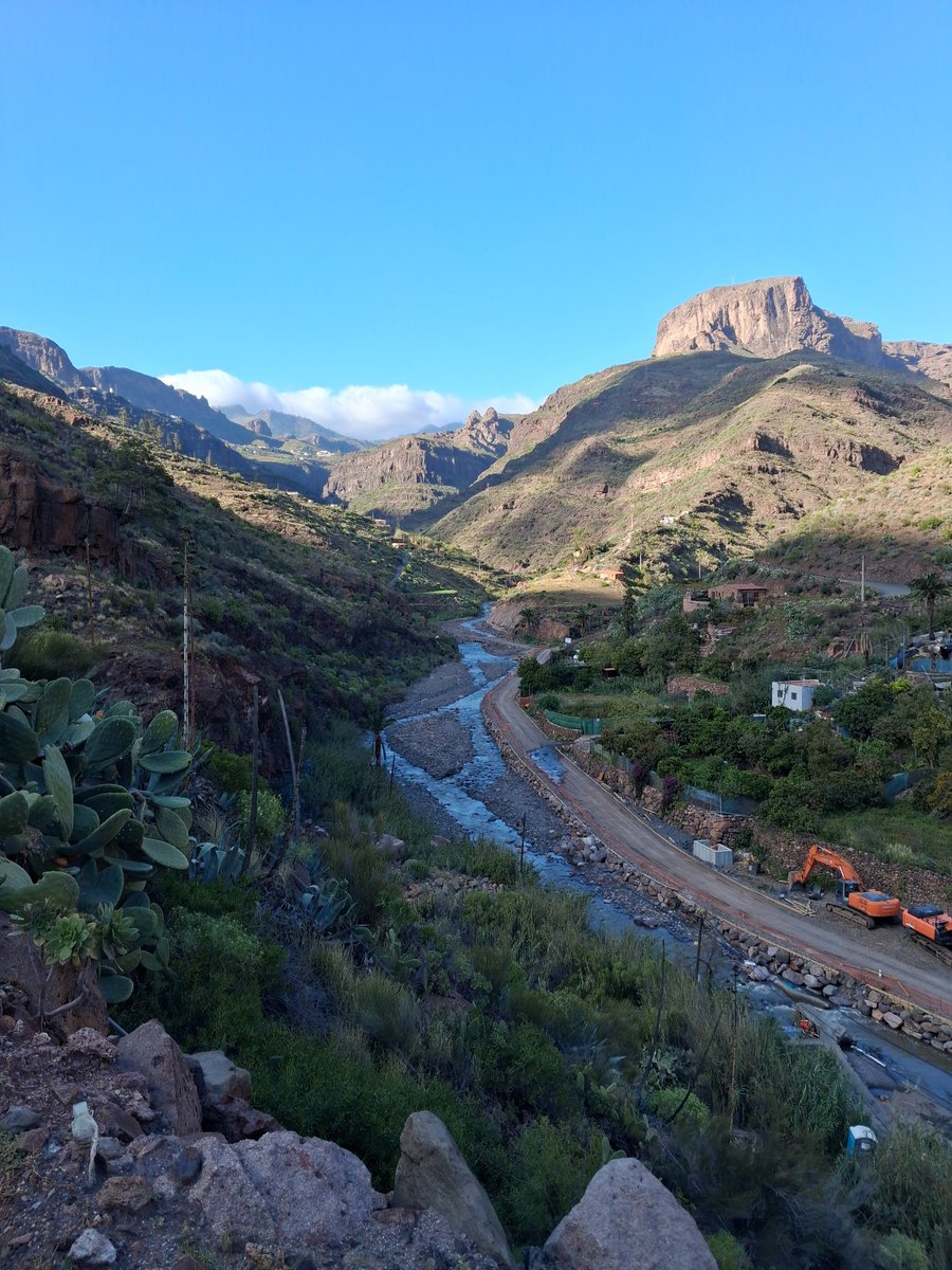 Fénix Canarias tweet media