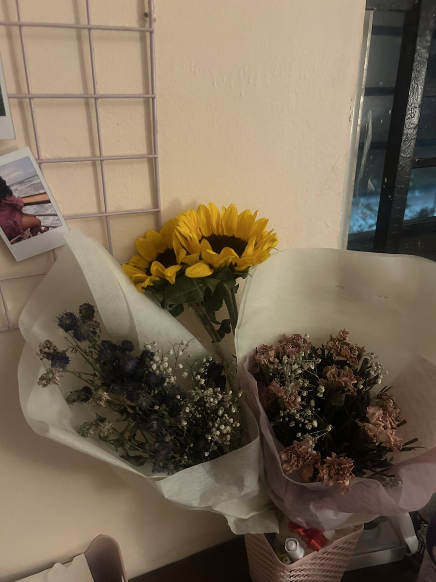 cro 🔮 tweet media