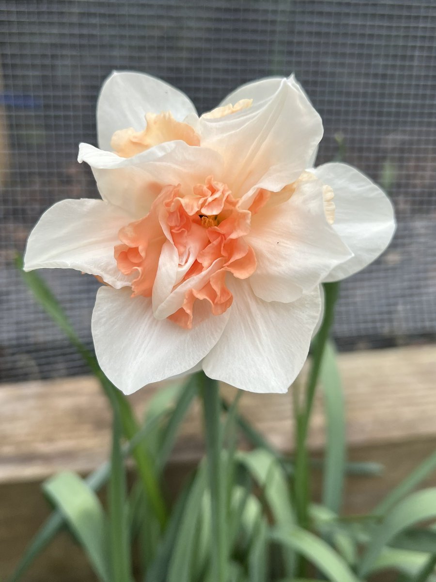 Sam Preston tweet media